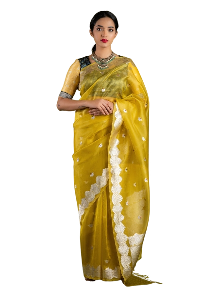 Banarasi Saree