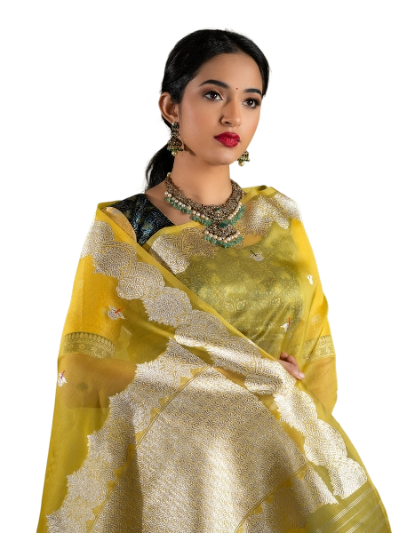 Banarasi Saree